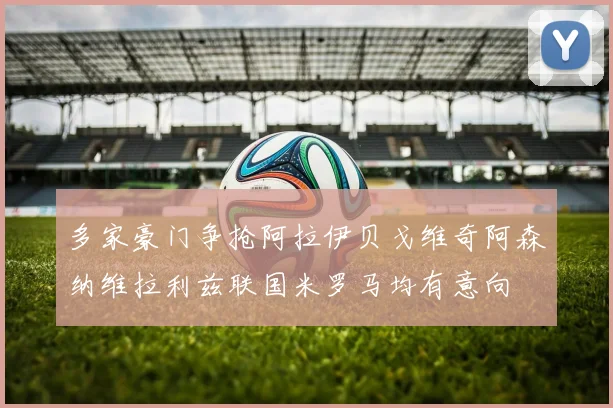 多家豪门争抢阿拉伊贝戈维奇阿森纳维拉利兹联国米罗马均有意向