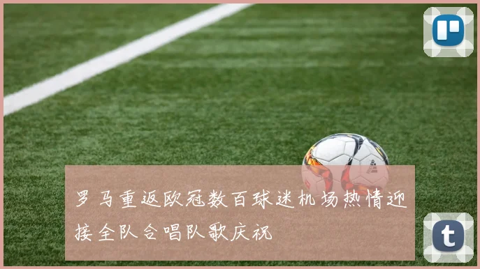 罗马重返欧冠数百球迷机场热情迎接全队合唱队歌庆祝
